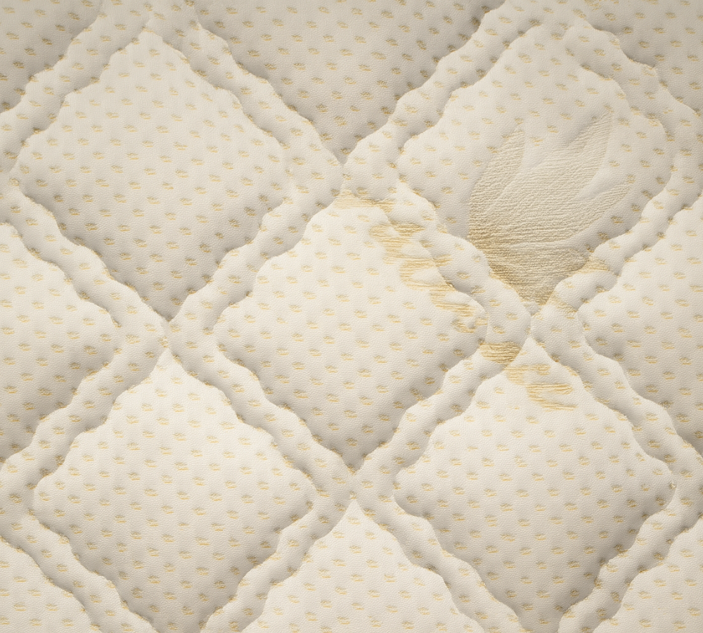 ΕΛΑΣΤΙΚΑ ΠΑΝΙΑ